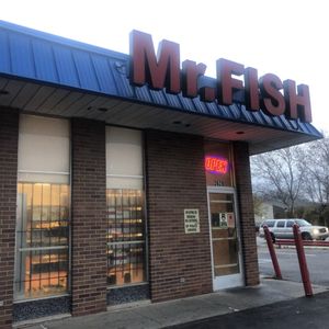 Mr Fish